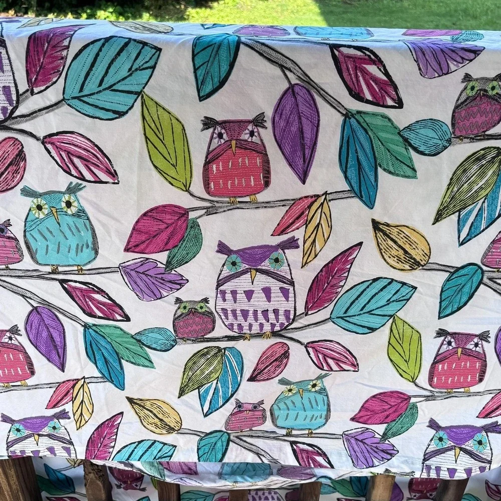 Pottery Barn Teen Whimsical Owl Duvet Set Full/Queen White Multi Organic Cotton